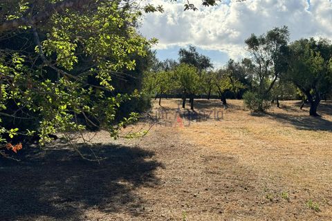 Landejendom i Ostuni, Brindisi, Ostuni - € 70.000 | Ref: 172708 - foto 7